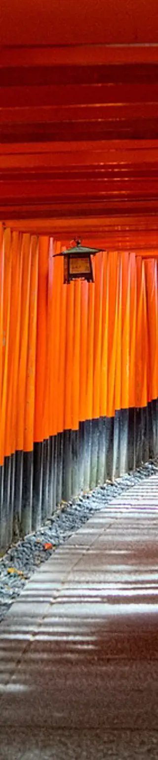 Laufe durch die Torii des Fushimi Inari-Taisha Schrein